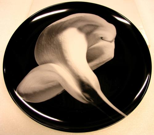 Plate, "Calla Lily"