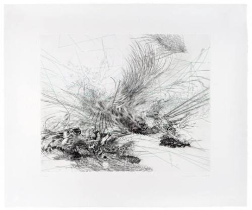 Julie Mehretu