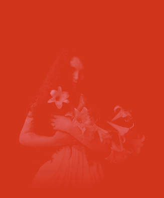 Untitled (Lillies), Red Series