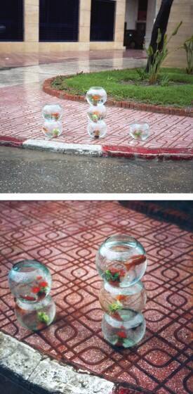 Aquariums for Sale on a Rainy Day, Tangier (for Parkett No. 91)