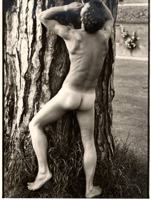 Nude Model (Male)