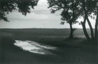 Casselton, North Dakota (wet field, 06-17-78, #8)