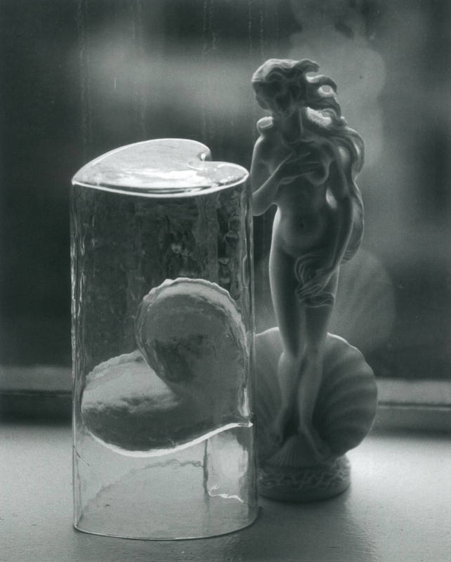 Still life (glass heart, vase, and Venus, 03-11-78, #21)