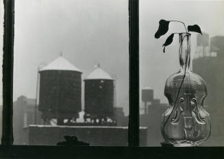 Still life with vase in shape of violin on window